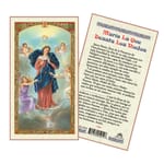 Virgin Mary Untier of Knots Laminated Prayer Card - Spanish